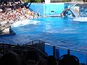 Sea World-129